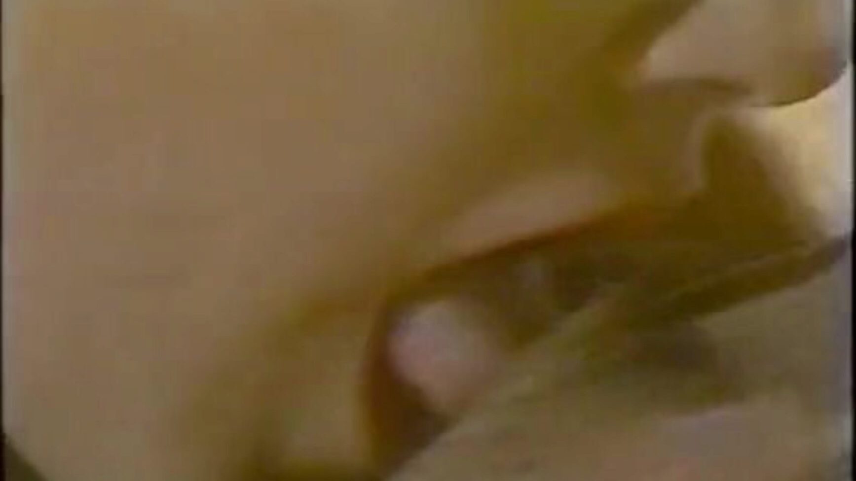 Infamous Brooke Fields aggressive anal vignette (80s antique